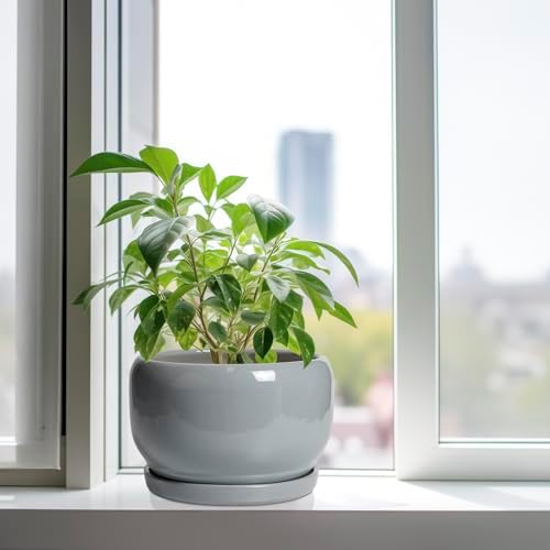 SQOWL 10 Inch Plant Pot - Ceramic Planter for Indoor Plants, Round Ceramic Flower Pot with Drainage Hole and Saucer, Modern Large Outdoor Planter, Room Decor, Housewarming Gifts, Gray - Image 4