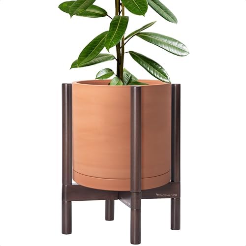 D'vine Dev Terracotta Pot with Walnut Wood Stand, 12 in, 55-B-W-5 by DvineDevPlanterPotsandStand