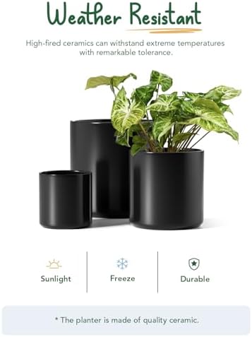 LE TAUCI 10+8+6 Inch Ceramic Pots for Plants, Indoor Planters with Drainage Hole and Plug, Modern Cylinder Flower Pots Set of 3 for Office and Living Room, Satin, Black - Image 6