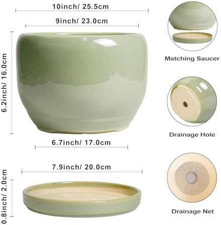 SQOWL Ceramic Planter - 10 Inch Pot for Plants Indoor Outdoor, Round Modern Flower Pot with Drainage Hole and Saucer, Decorative Large Planter, Office Decor, Plant Lovers Gifts, Green - Image 3