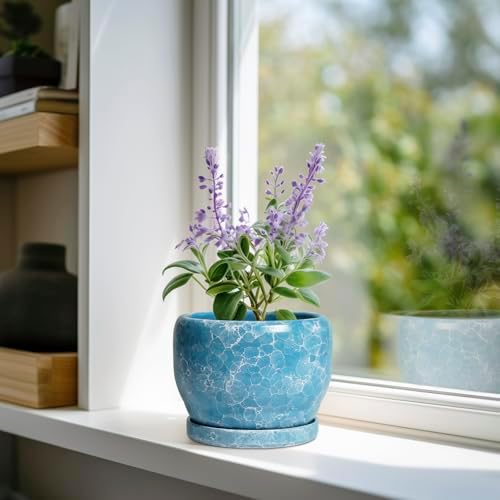 SQOWL 6 Inch Plant Pot - Ceramic Indoor Planter with Drainage Hole and Saucer, Decorative Ceramic Flower Pot Outdoor, Round Succulent Planter, Home Office Room Decor, Gifts for Plant Lovers, Blue - Image 2