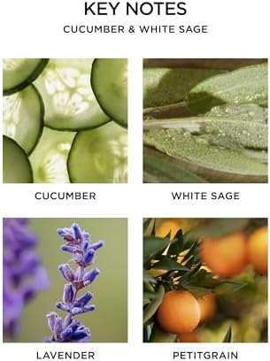 NEST New York Reed Diffuser, Cucumber & White Sage - The Wellness Collection - 5.9 fl oz - Fragrance for Up to 90 Days - Reusable, Refillable Glass Holder - Includes 8 All-Natural Reed Sticks - Image 3