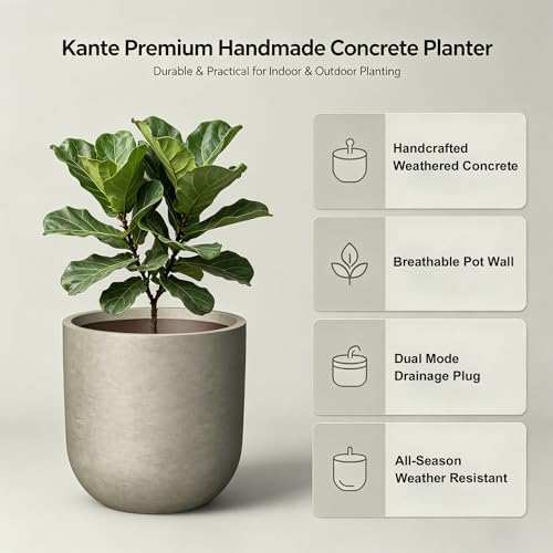 Kante Small Round Capsule Weathered Concrete Planter 11" Dia, Outdoor - Image 3