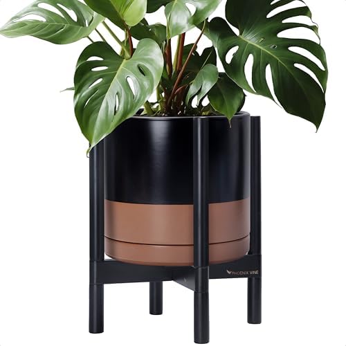 D'vine Dev Ceramic Pot with Ebony Wood Stand, Black/Tan, 12 in, 55-B-H-7 by DvineDevPlanterPotsandStand