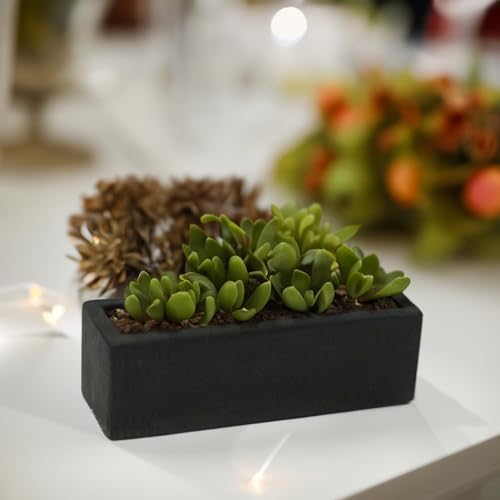 WGVI Long Rectangle Ceramic Planter Vase in Black 12" x 4" x 4"H, Block Rectangular Terrarium Box Pot, Flower Arrangement, Table top Centerpiece, Home Decor Organization Storage Container, 1 Pc. - Image 5