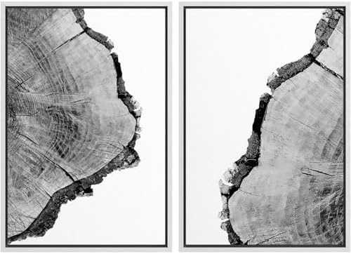 SIGNWIN Framed Wall Art Print Set Black & White Close Up Tree Ring Details Nature Wilderness Photography Modern Art Rustic Relax/Calm Multicolor for Living Room, Bedroom, Office - 24"" x36 x2 White by SIGNWIN