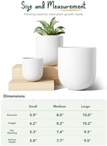 LE TAUCI 6, 8 & 10 Inch Ceramic Planter Set for Indoor Plants, White - Image 4