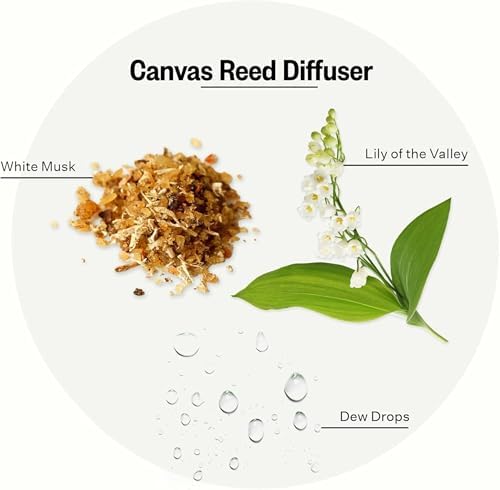 Apotheke Scented Reed Diffuser for Home, Canvas, 10 Reed Sticks - Image 3