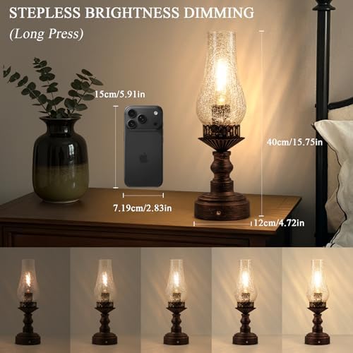 Vintage Touch Control Cordless Table Lamp, Rechargeable Rustic Table Lamp, Battery Operated Portable Retro Table Lamp, 3-Color Dimmable for Bedroom, Nightstand (Transparent) - Image 5
