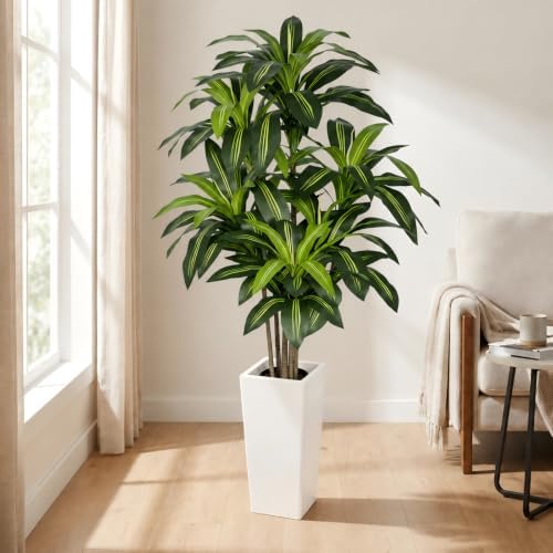 Artificial Dracaena Tree 5FT, Stable Multi-Trunk Fake Tree Indoor with White Tall Planter,Faux Silk Plant for Living Room Office Decor, UV Resistant Realistic Leaves by LeafVerse
