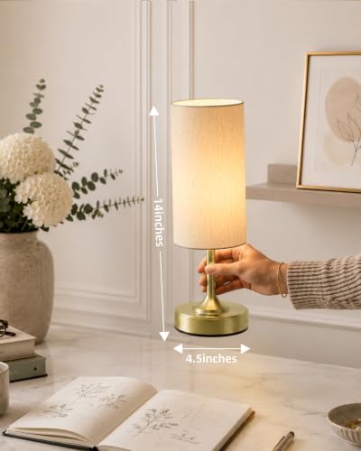 EZVALO Dimmable Cordless Table Lamp, Small Ambient Light with Timer - Image 5