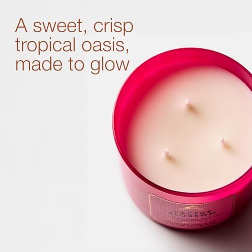 Bath & Body Works 3-Wick Candle, Cactus Blossom, Soy Wax Blend - Image 2