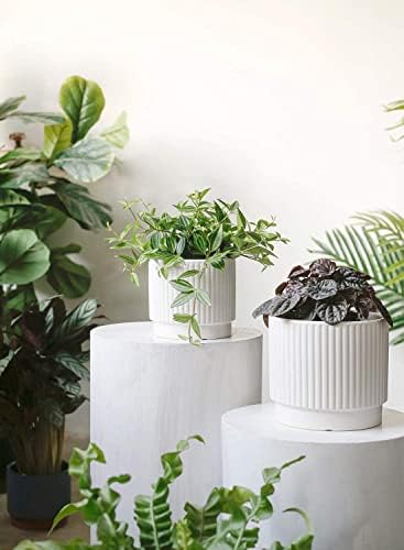 LE TAUCI Ceramic Pots for Plants, 8+6.7+5.5 Inch Plant Pots Indoor, Flower Pot with Drainage Holes, Medium Cylinder Planters for Indoor House Plants, Set of 3, White - Image 3