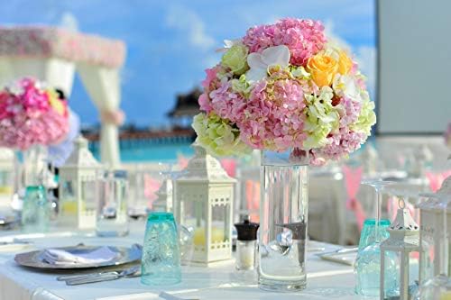 WGVI Quality Thick Weighted Tall Clear Cylinder Glass Vases, 4" W x 14" H, Flower Arrangement Floating Candle Holders Wedding Centerpieces Floral Container Home Decor, Bulk Wholesale, 6 Pcs - Image 5
