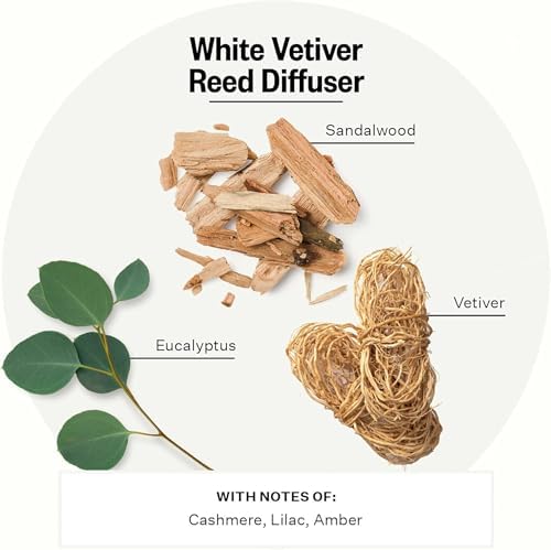 Apotheke Scented Reed Diffuser for Home, White Vetiver, 10 Reed Sticks - Image 2