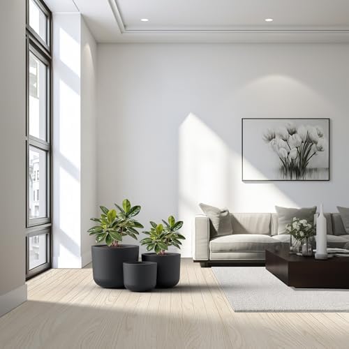 Kante Set of 3 Black Concrete Capsule Round Planters for Modern Home - Image 6