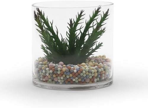 WGVI Thick Weighted Clear Right Cylinder Glass Vases, 6" W x 6" H, Equilateral Cylinder Glass Candle Holders Flower Arrangement Centerpieces Storage Container Brush Pen Holder, Bulk Wholesale, 12 Pcs - Image 4