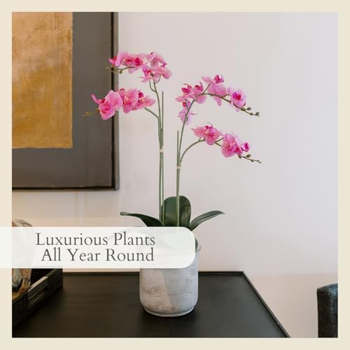 CG Hunter, Faux Pink Orchid Plant, 24 in, Grey, Home Decor - Image 4