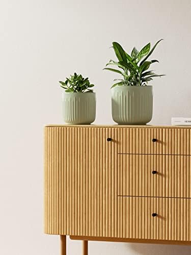 LE TAUCI Ceramic Pots for Plants, 8.3/7/6 Inch Indoor Planters with Drainage Holes & Mesh, Modern Glossy Glaze Cylinder Fluted Plant Pot for Snake Plant, Set of 3, Sage Green - Image 5