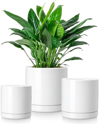 vancasso Ceramic Plant Pots, 3 Piece Planters for Indoor Plants, White by vancasso