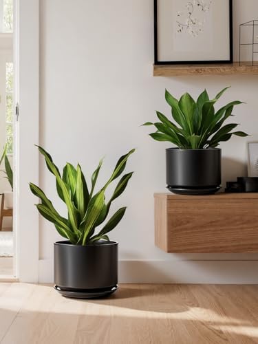 LE TAUCI 8 Inch Plant Pot, Ceramic Pots for Plants, Black - Image 6