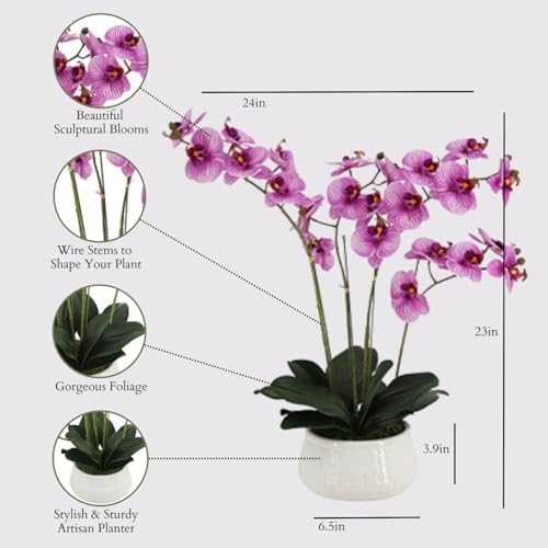 CG Hunter, Faux Orange Orchid Plant, 23 in, White, Home Decor - Image 2