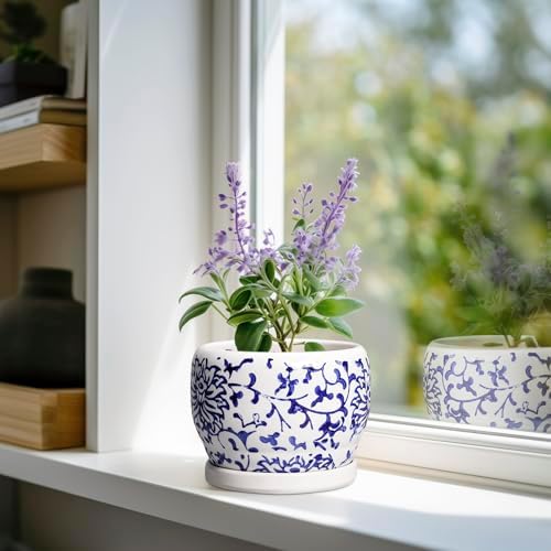 SQOWL 6 Inch Planter - Ceramic Plant Pots Indoor with Drainage Hole and Saucer, Round Ceramic Flower Pot Outdoor, Porcelain Decorative Planter, Backyard Decor, Gifts for Plant Lovers, Blue and White - Image 2
