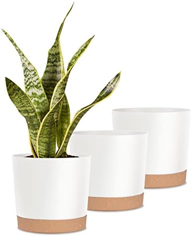 kubvici Indoor Plant Pots Planters 8 inch Plastic Planter (White x 3 Pack) by kubvici