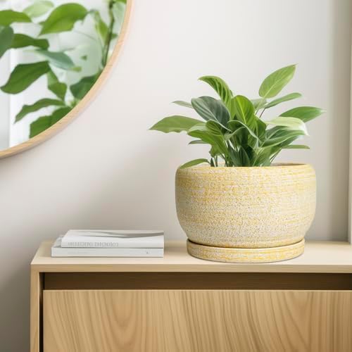 SQOWL Ceramic Planters for Indoor Plants - 10 Inch Plant Pot with Drainage Hole and Saucer, Round Ceramic Flower Pot Outdoor, Decorative Large Planter, Office Decor, Gifts for Women Men, Yellow - Image 7