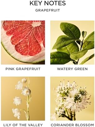 NEST New York Scented Classic Candle, Grapefruit - 8.1 oz - Up to 60-Hour Burn Time - Reusable Glass Vessel - Image 4