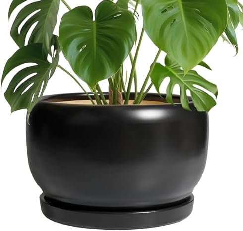 SQOWL Ceramic Flower Pot - 10 Inch Planter with Drainage Hole and Saucer, Modern Large Plant Pot Indoor Outdoor, Decorative Round Planter, Bedroom Decor, Gifts for Plant Lovers, Black by SQOWL