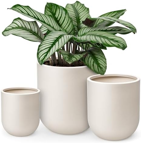homenote 13/11.5/10 Inch Large Plastic Plant Pots with Drain Holes (3 Pcs) by HOMENOTE