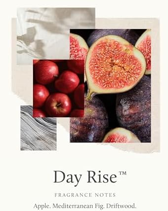 Thymes Petite Oil Reed Diffuser Set – Includes Reeds, Fragrance Oil & Glass Bottle – Luxury Scent Diffusers for Home Decor – Notes of Mediterranean Fig, Green Apple & Driftwood (Day Rise, 4 fl oz) - Image 3