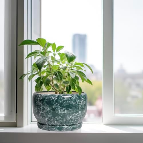 SQOWL 10 Inch Plant Pot - Ceramic Planter for Indoor Plants Outdoor, Large Ceramic Flower Pot with Drainage Hole and Saucer, Decorative Round Planter, Living Room Decor, Gifts for Women Men, Green - Image 4