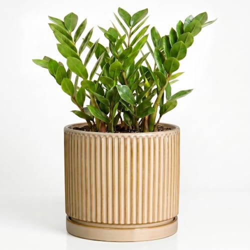 Ceramic Pots for Plants, 10 Inch Planters, Round Plant Pot, Beige by Unknown