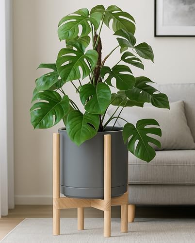D'vine Dev Ceramic Pot with Natural Wood Stand, Grey, 12 in, 55-B-J-3 - Image 7