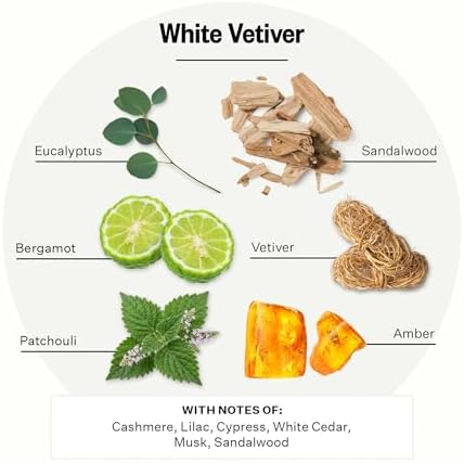 Apotheke Signature Scented Candles for Home, White Vetiver - 10.5 Oz - Image 2