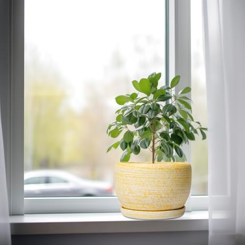 SQOWL Ceramic Flower Pots - 8 inch Plant Pot Indoor with Drainage Hole and Saucer, Modern Ceramic Planter Outdoor, Round Decorative Planter, Living Room Home Decor, Gifts for Plant Lovers, Yellow - Image 4