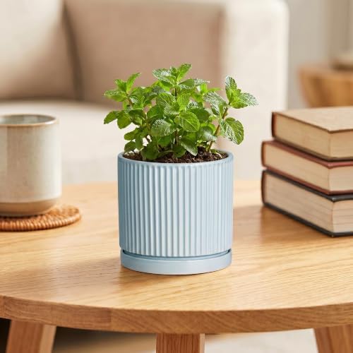4 Inch Plant Pots, Ceramic Pots for Plants with Saucer, Light Blue - Image 4