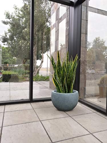 Kante Blue Gray Concrete Planter 11.8" Dia All-Weather Round Small Pot - Image 5