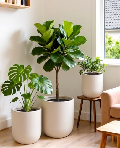 homenote 13/11.5/10 Inch Large Plastic Plant Pots with Drain Holes (3 Pcs) - Image 4