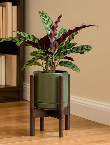 D'vine Dev Ceramic Pot with Walnut Wood Stand, Olive, 8 in, 55-B-Y-J - Image 6