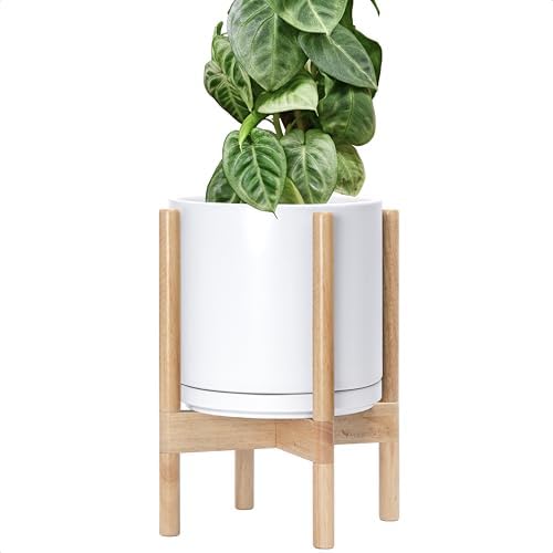 D'vine Dev Ceramic Pot with Natural Wood Stand, White, 10 in, 55-B-K-1 by DvineDevPlanterPotsandStand