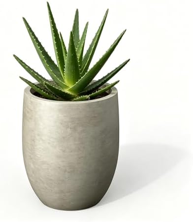 Kante Small Round Curved Weathered Concrete Planter 9.1" Dia, Outdoor by Unknown