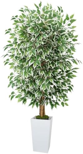 GTIDEA 6FT Ficus Tree Artificial, Fake Indoor Plants with Tapered Planter by GTIDEA