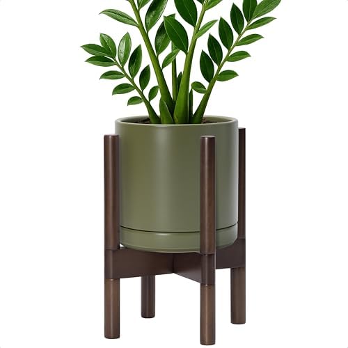 D'vine Dev Ceramic Pot with Walnut Wood Stand, Olive, 8 in, 55-B-Y-J by DvineDevPlanterPotsandStand