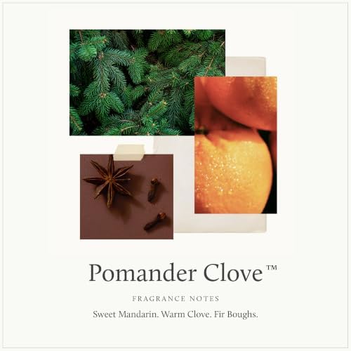 Thymes Pomander Clove Petite Oil Reed Diffuser Set | 4 fl oz - Image 3