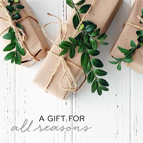 Thymes Scented Candles for Home Decor - Luxury Home Fragrance Gifts for Women & Men - Winter Candles with Crisp Notes of Sage, Eucalyptus, & Cypress Needles - Sage-Green (Highland Frost, 13 oz) - Image 5