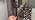 Industrial Tree Floor Lamp, Dimmable Farmhouse Tall Standing Lamp with Quatrefoil Cutout Shades & Rotary Dimmer Knob, Corner Light for Living Room Bedroom, 3 x800LM Bulbs Included-68 Brown - Image 7