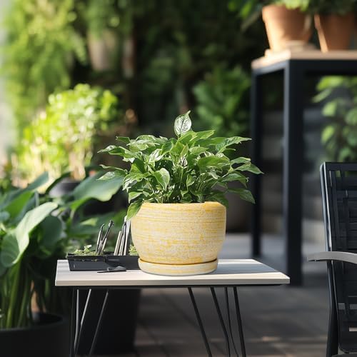 SQOWL Ceramic Flower Pots - 8 inch Plant Pot Indoor with Drainage Hole and Saucer, Modern Ceramic Planter Outdoor, Round Decorative Planter, Living Room Home Decor, Gifts for Plant Lovers, Yellow - Image 5